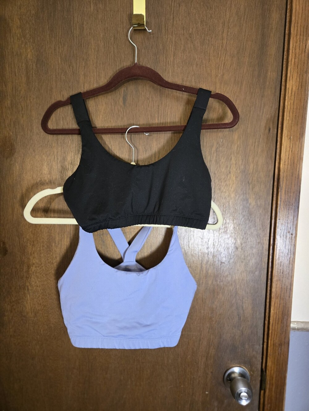 Montiel Lot Black and Lavender Medium Seamless Bralette